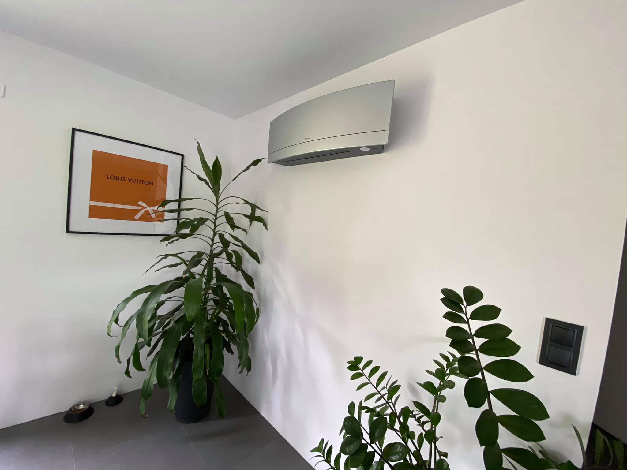 198774789_4343686022342152_2604094465674888569_n